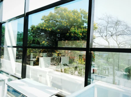 Bay Windows tree seen through window glass o