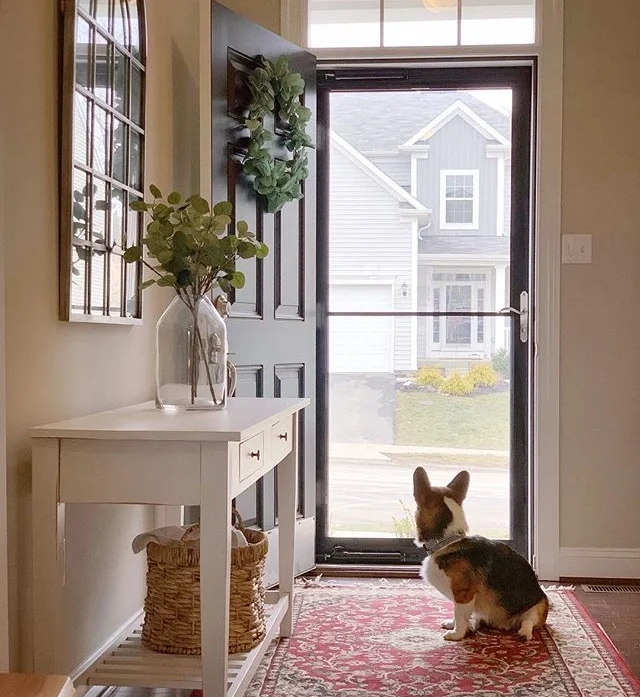 Storm Doors social black fiberglass traditional front door