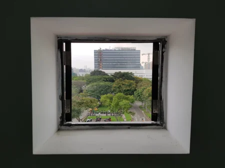 Picture Windows trees seen through window (1)