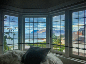 Home bay window view